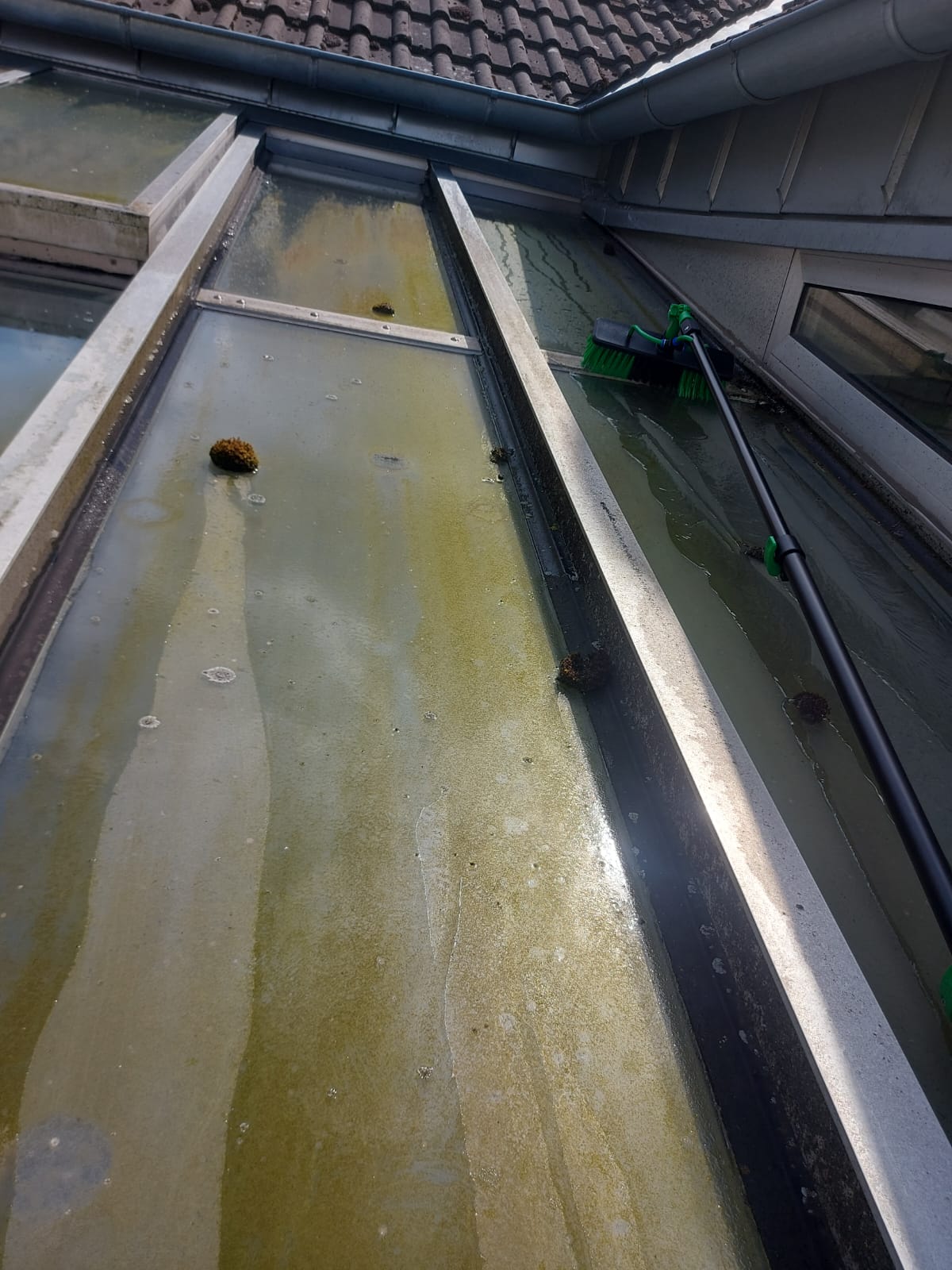 d2e3339f-cdeb-4798-aa34-502606756d87